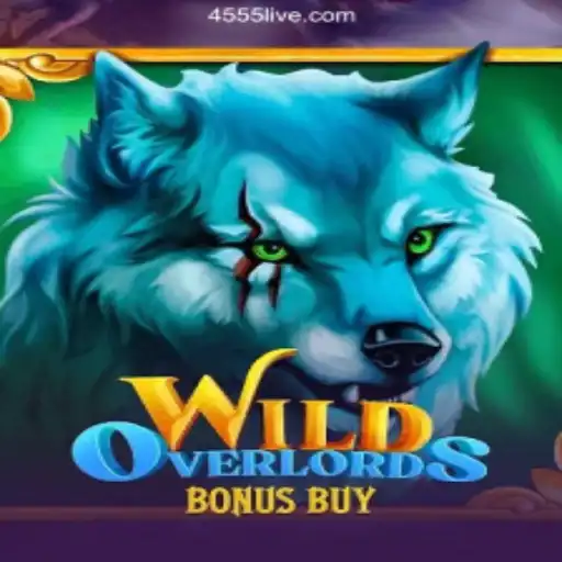 An In-Depth Look into WildOverlordsBonusBuy: The Exciting New Online Gaming Experience
